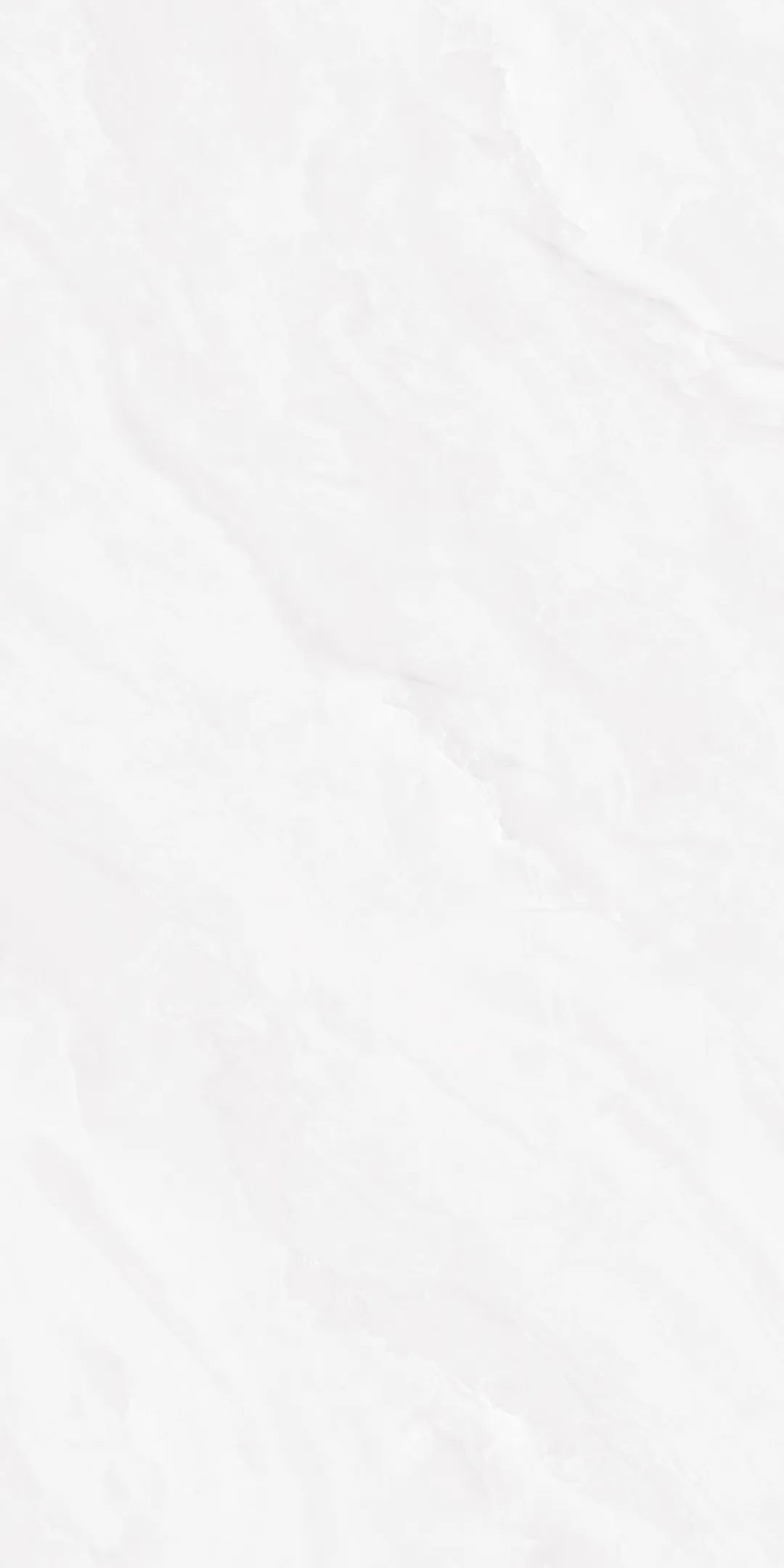 H155G06